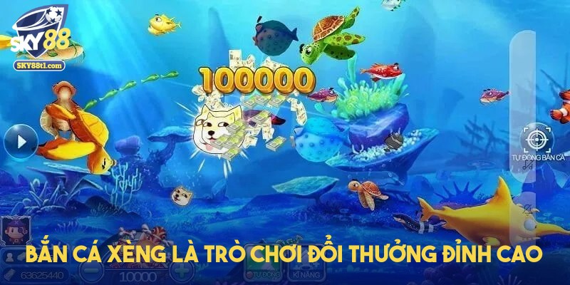 ban-ca-xeng-dinh-cao