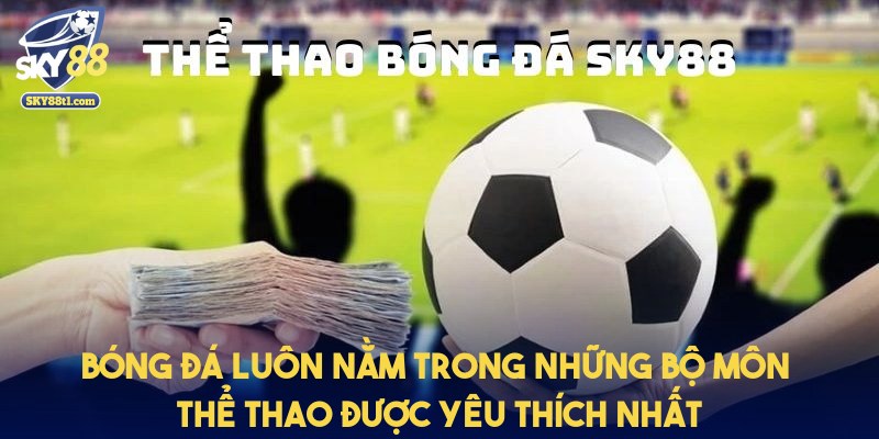 the-thao-bong-da